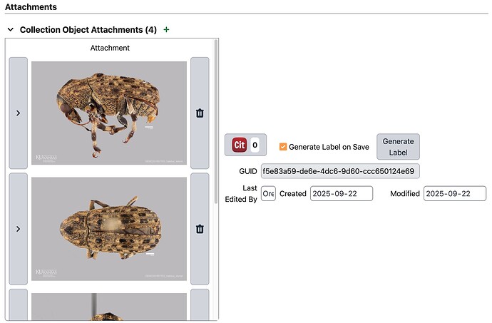 Attachments shown in a panel on the Collection Object form