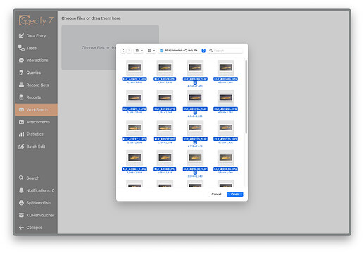 Selected Images for Attachments in the WorkBench