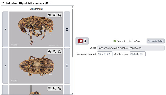 Attachments shown in a panel on the Collection Object form