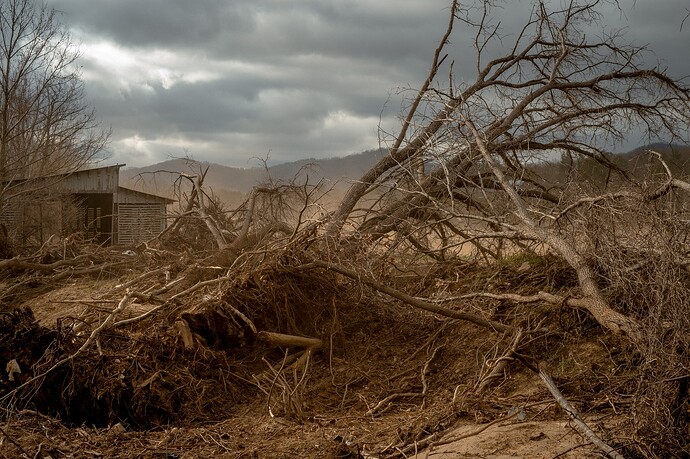 VP_IC_1054391577_1054418986_007-0403_NYTimes_MUSK FEMA DISRUPTION 1.JPG