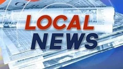 Local News logo