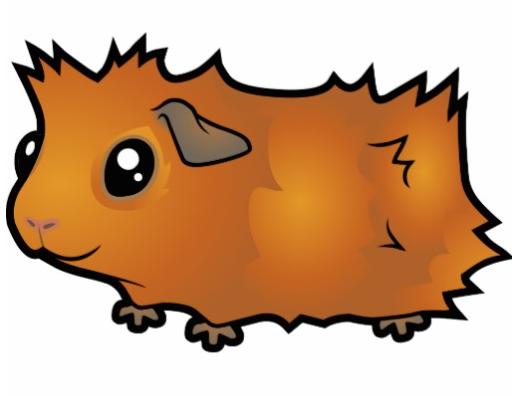 :guinea_pig: :guinea_pig: