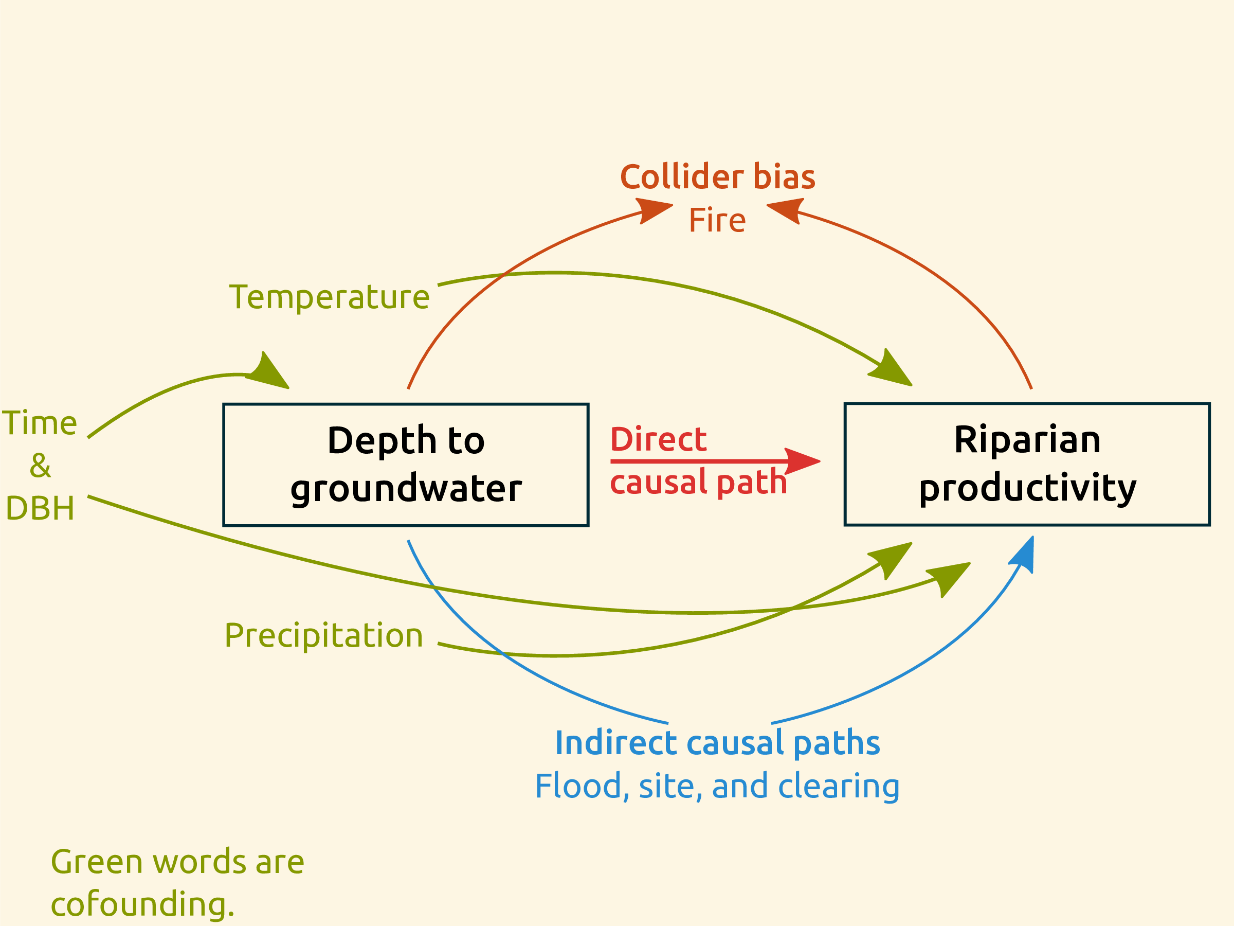 DAG_of_litterfall_model