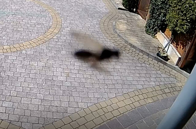 Screenshot 2026-06-25 at 14.29.14