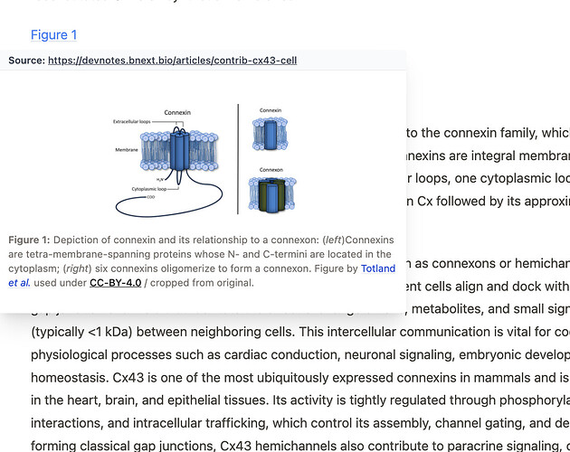 Screenshot 2025-11-11 at 10.27.49 AM