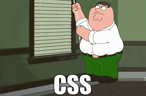 CSS_meme
