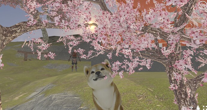 Screenshot 2024-12-24 192701
