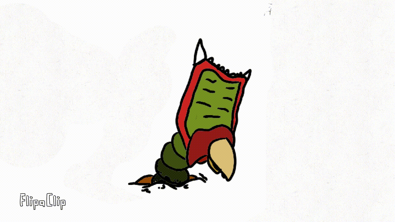 Peck.King