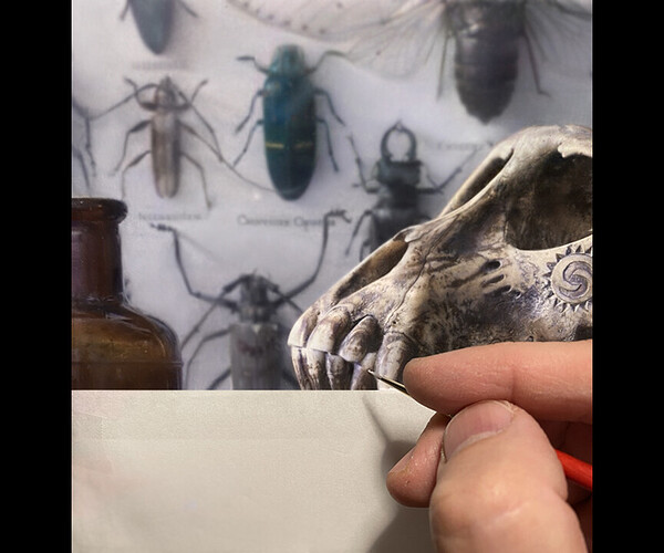 SkullWIPTeeth