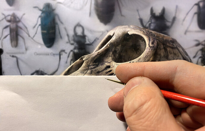 SkullProgress