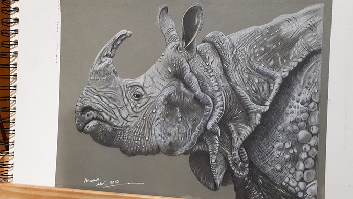 Ascanio´s rhino