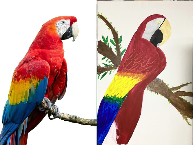 comparison