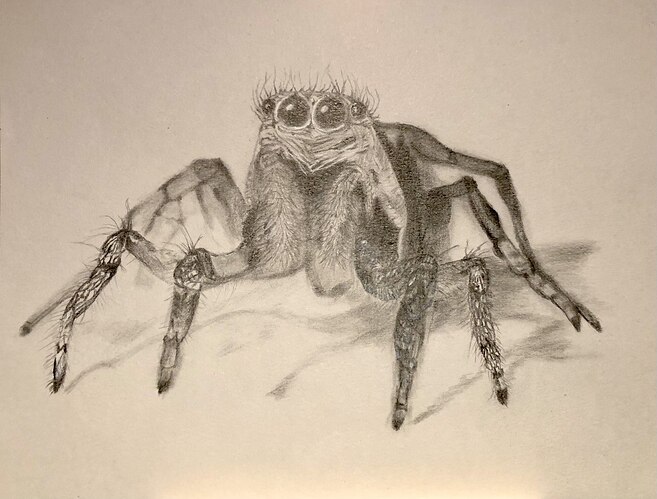 IMG_20250220_090150_267