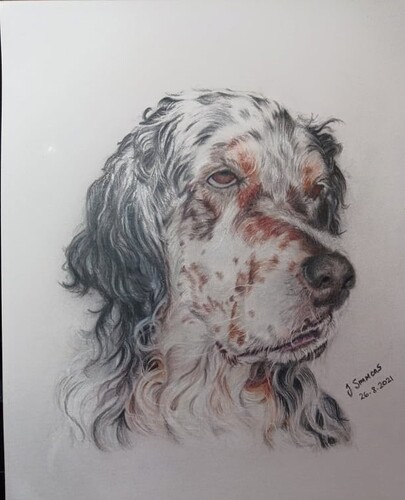 241742680_1223572084790122_5626503611339606343_n