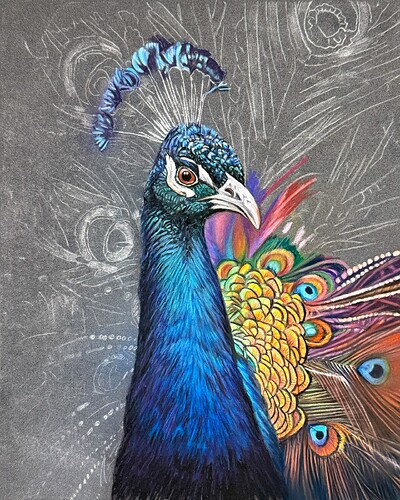 8x10 peacock