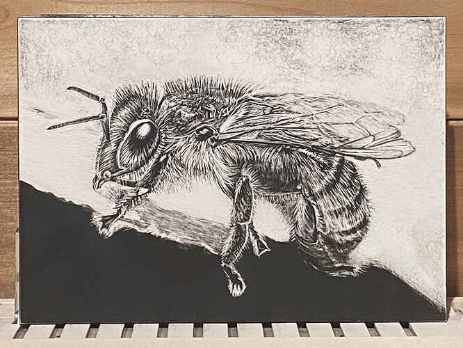IMG_3452 scratchboard