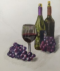 Wine & Grapes drawing