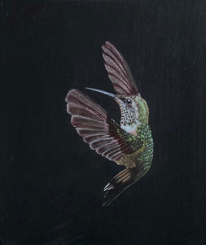 Hummingbird