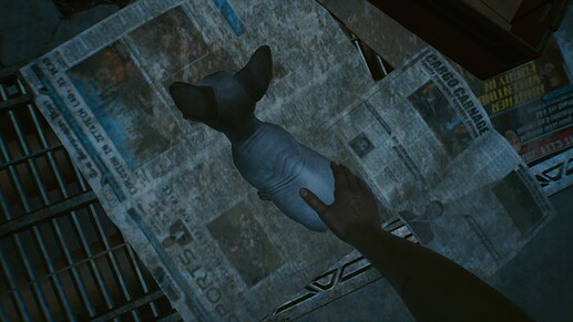 Cyberpunk 2077_20201211031236