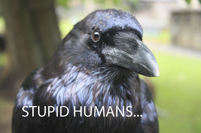 Head_of_Raven%20copia