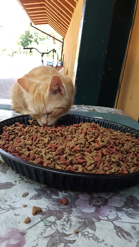 20180630_125719