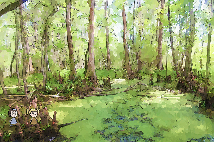 swamp