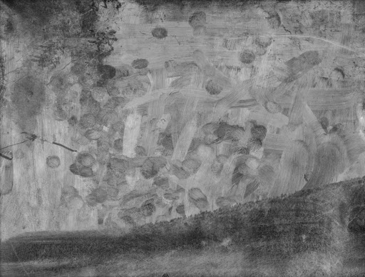 unnamed (1)
