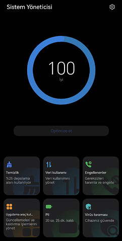 Sistem Yöneticis