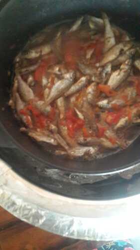 IMG-20220210-WA0010