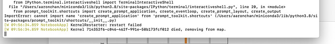 Screen Shot 2020-12-06 at 9.56.42 AM