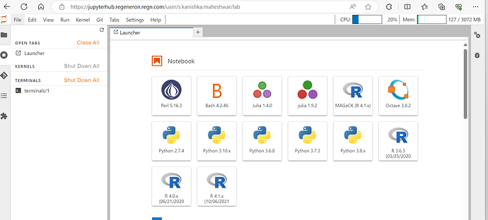 MicrosoftTeams-image (6)