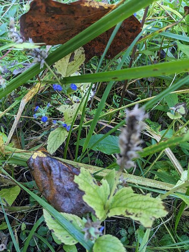 PXL_20240919_140746194