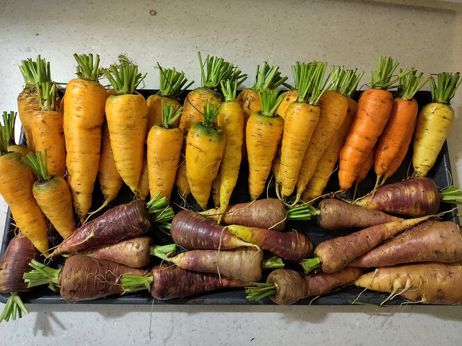 IMG_20250923_095910_HDR