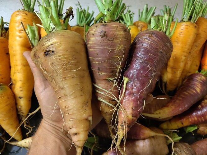 IMG_20250923_100011_HDR