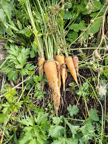 IMG_20250821_133852_HDR