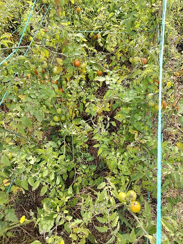 IMG_20250922_134309_HDR