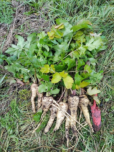 IMG_20251007_154741_HDR