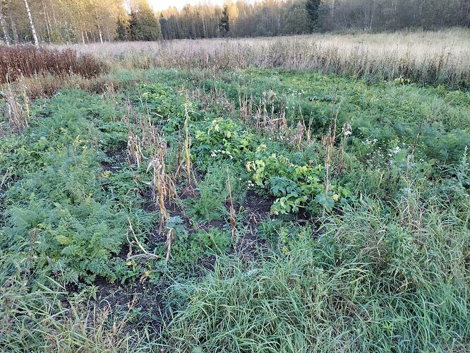 IMG_20250922_182932_HDR