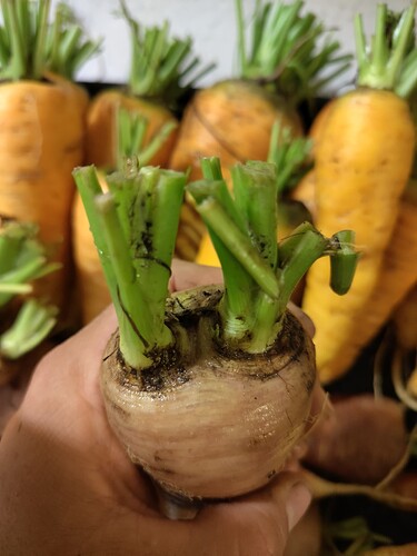 IMG_20250923_100101_HDR