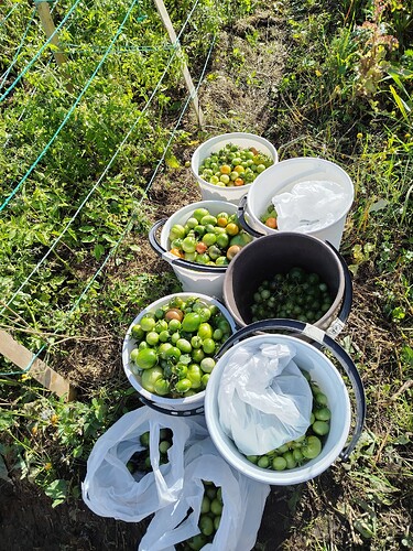 IMG_20250922_150002_HDR