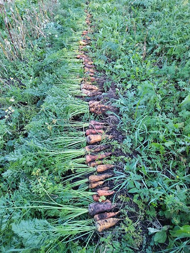 IMG_20250922_184357_HDR