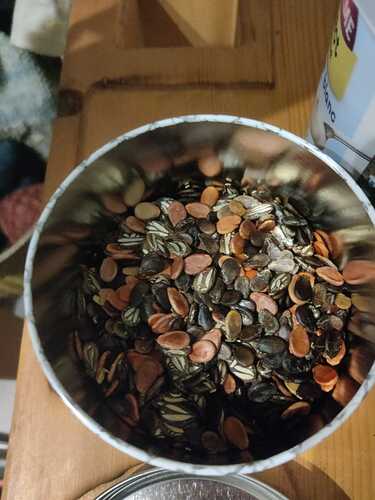 WhatsApp Image 2025-11-20 at 09.49.14