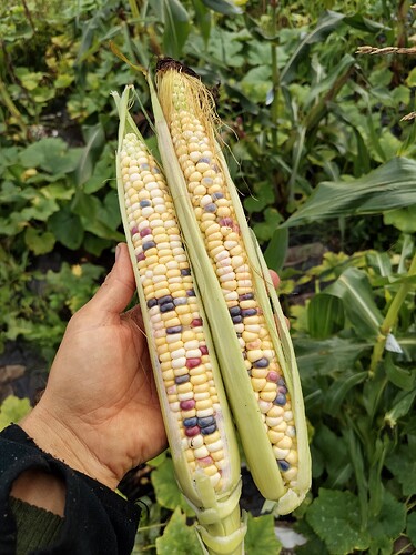 IMG_20250918_181635_HDR