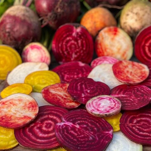 organic-ember-beet-1