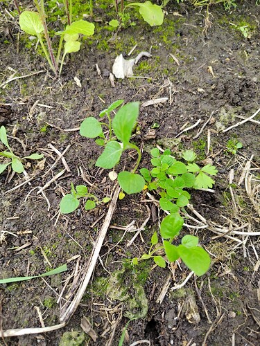 IMG_20250707_164022_HDR