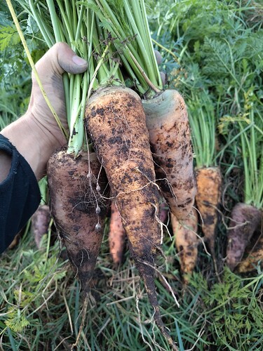 IMG_20250922_190744_HDR