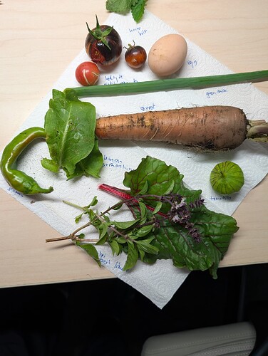 Fresh Picked from FS upick