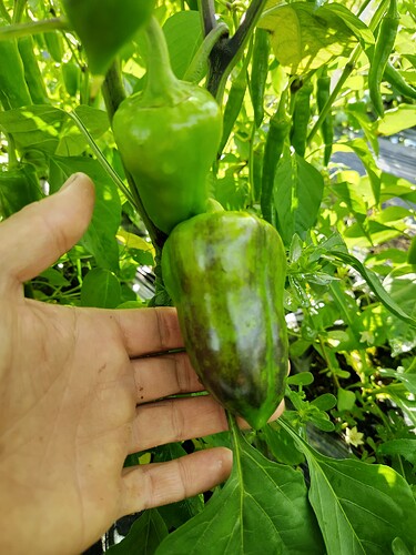 IMG_20250918_161041_HDR