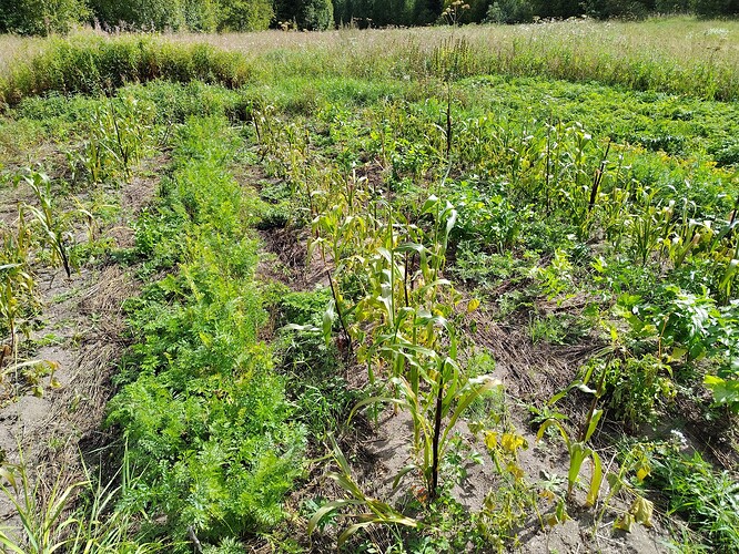 IMG_20250821_132529_HDR