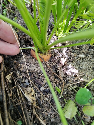 IMG_20250821_132725_HDR